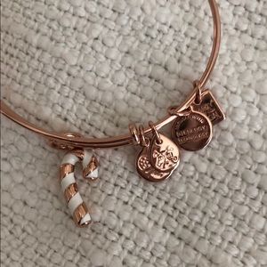 5/$25 - Alex and Ani Candy Cane Charm Bangle